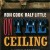 A book cover with the title of " on the ceiling ".